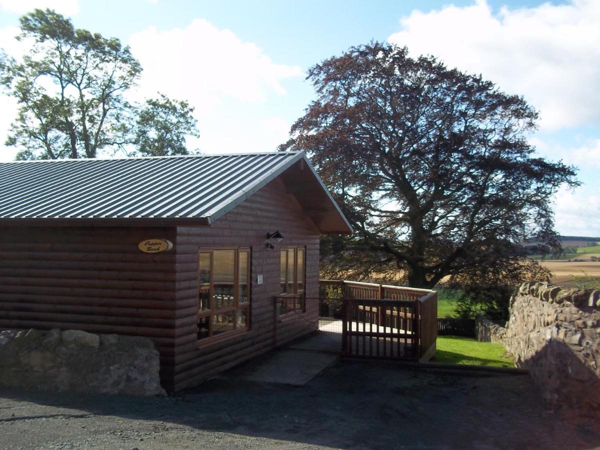 Copper Beech Lodge With Hot Tub Cupar Zewnętrze zdjęcie